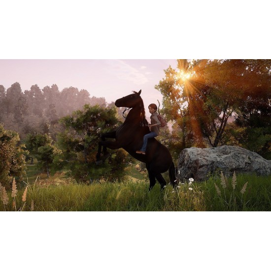 Windstorm: An Unexpected Arrival - Nintendo Switch