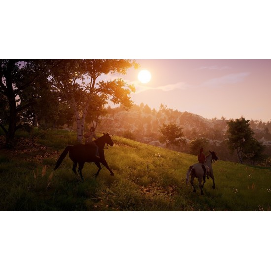 Windstorm: An Unexpected Arrival - Nintendo Switch