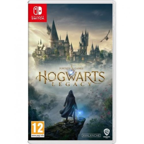 Hogwarts Legacy  Nintendo Switch