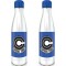 Pyramid International Dragon Ball Z (Capsule Corp) Μπουκάλι Θερμός (540ml) (MDB25698)