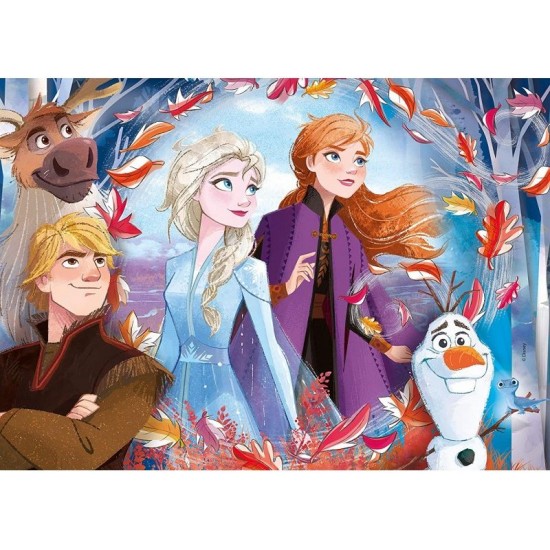 As Company Puzzle 2X20 - 2X60 Disney Frozen 2 (1200-21307)