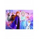 As Company Puzzle 15 Super Color Disney Frozen 2 (1200-22235)