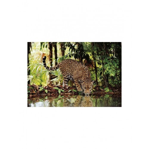 As Company Puzzle 2000 Λεοπάρδαλη (1220-32537)