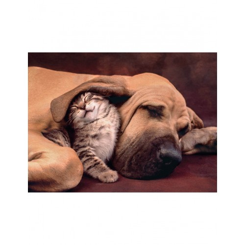 As Company Puzzle 500 H.Q. Γατάκι Με Σκυλάκι (1220-35020)