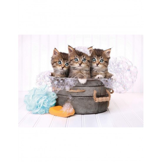 As Company Puzzle 500 H.Q. Kittens And Soap (1220-35065)