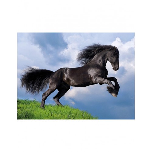 As Company Puzzle 500 H.Q. Fresian Μαύρο Άλογο (1220-35071)