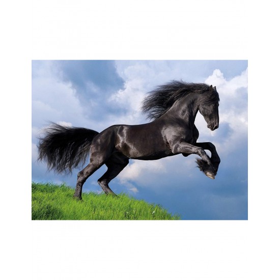 As Company Puzzle 500 H.Q. Fresian Μαύρο Άλογο (1220-35071)