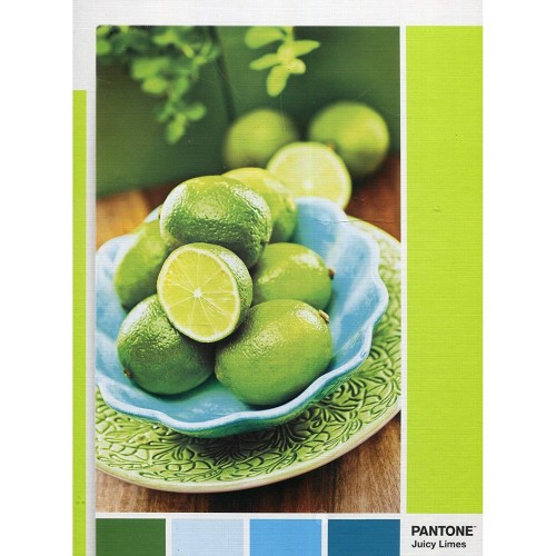 As Company Puzzle 1000 Pantone Lime Punch (1260-39492)