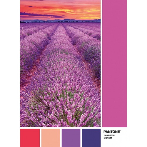As Company Puzzle 1000 Pantone Vivid Viola (1260-39493) As Company Puzzle 1000 Pantone Vivid Viola (1260-39493)