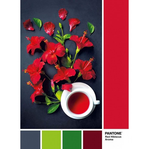 As Company Puzzle 1000 Pantone Hibiscus Red (1260-39494)
