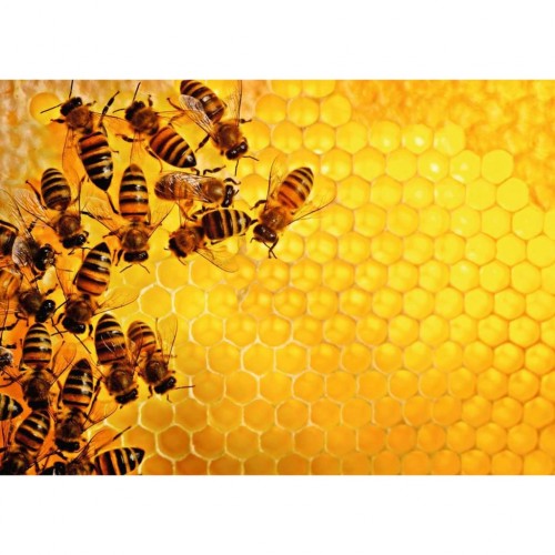 Ravensburger Μέλισσες (173620)