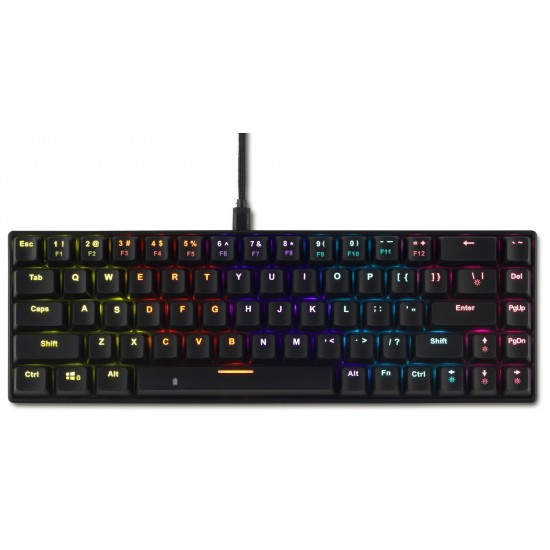 Spartan Gear - Pegasus 2 RGB Wired & Wireless 63 keys Mechanical Gaming Keyboard (color: Black/Grey) (085610)