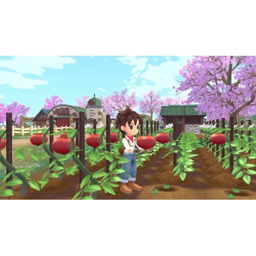 Story of Seasons: A Wonderful Life - Xbox Series X (084641)