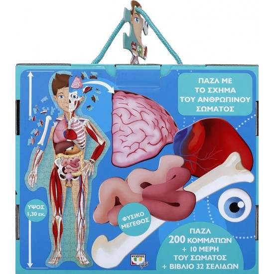 ΜΑΘΑΙΝΩ ΚΑΙ ΕΞΕΡΕΥΝΩ: ΤΟ ΑΝΘΡΩΠΙΝΟ ΣΩΜΑ(9786180127409)