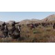 PS5 Mount & Blade II: Bannerlord (076575)