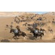 PS5 Mount & Blade II: Bannerlord (076575)