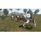 PS5 Mount & Blade II: Bannerlord (076575)
