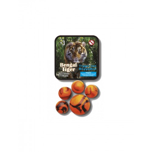 Vacor Βόλοι - Bengal Tiger (238465) Vacor Βόλοι - Bengal Tiger (238465)