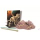 4M Toys Ανασκαφή Τυραννόσαυρος – Rex (3221)