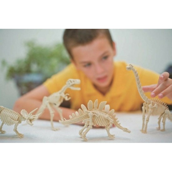4M Toys Ανασκαφή Βραχιόσαυρος (3237)