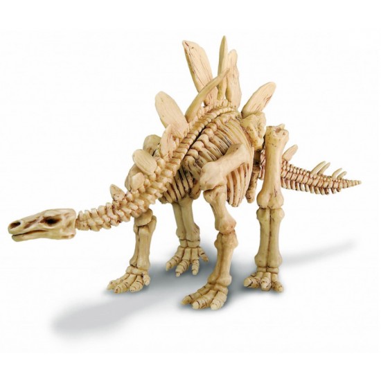 4M Toys Ανασκαφή Στεγόσαυρος (3229)