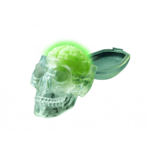 4M Εκπαιδευτικό Παιχνίδι Φωσφορούχο Κρανίο(4M0441) 4M Εκπαιδευτικό Παιχνίδι Φωσφορούχο Κρανίο(4M0441)