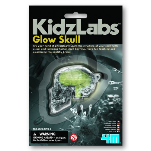 4M Εκπαιδευτικό Παιχνίδι Φωσφορούχο Κρανίο(4M0441)