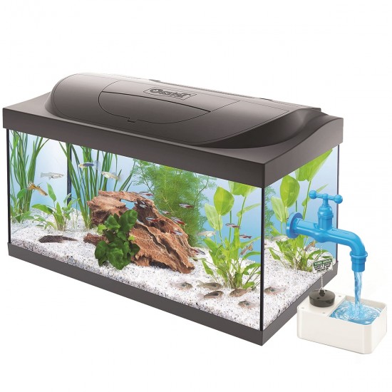 4M Εκπαιδευτικό Παιχνίδι Μαγική Βρύση(4M0601)