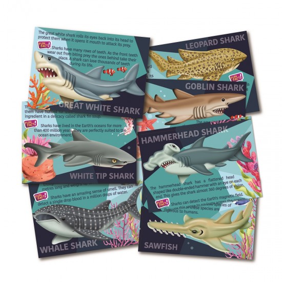 4M Μαγνητικό Παιχνίδι Κατασκευών Καρχαρίες Μαγνητάκια-Καρφίτσα(4M0604)