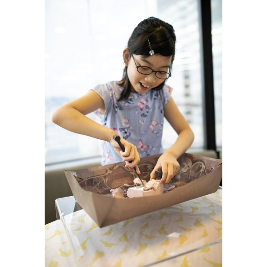 4M Εκπαιδευτικό Παιχνίδι Ο Κόσμος Των Δεινοσαύρων(4M0612)