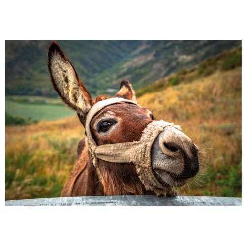 Dino Γάϊδαρος 500 Tεμ. Παζλ Dino (50248)