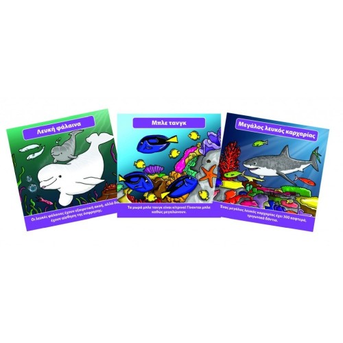 BrainBox Θαλάσσιος Κόσμος  Επιτραπέζιο Παιχνίδι (93024)