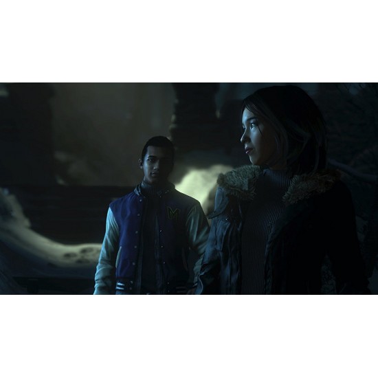 Until Dawn PlayStation Hits - PS4