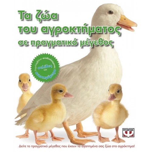 ΤΑ ΖΩΑ ΤΟΥ ΑΓΡΟΚΤΗΜΑΤΟΣ ΣΕ ΠΡΑΓΜΑΤΙΚΟ ΜΕΓΕΘΟΣ (9786180104707)