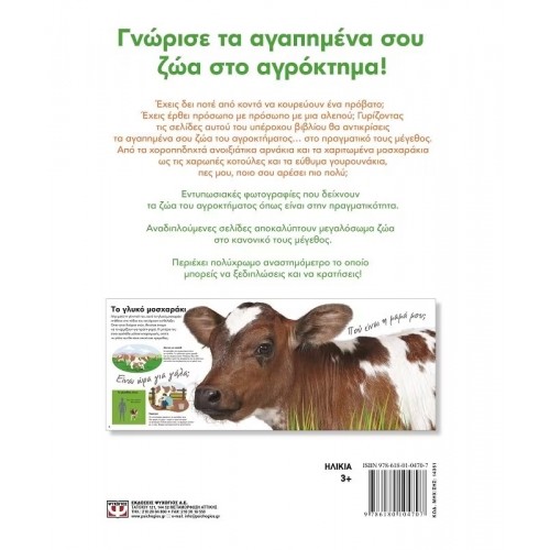 ΤΑ ΖΩΑ ΤΟΥ ΑΓΡΟΚΤΗΜΑΤΟΣ ΣΕ ΠΡΑΓΜΑΤΙΚΟ ΜΕΓΕΘΟΣ (9786180104707)