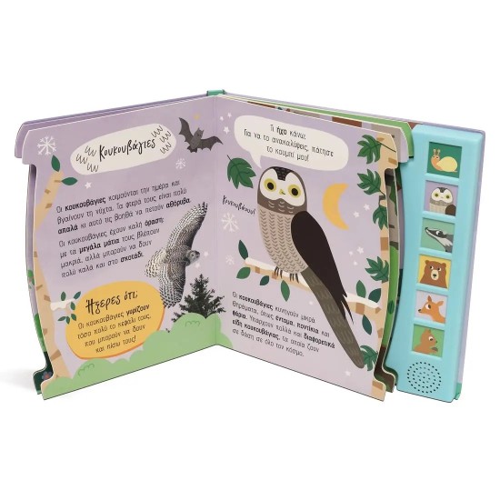 ΑΚΟΥΩ ΚΑΙ ΕΞΕΡΕΥΝΩ ΤΟ ΔΑΣΟΣ (9786180146004)